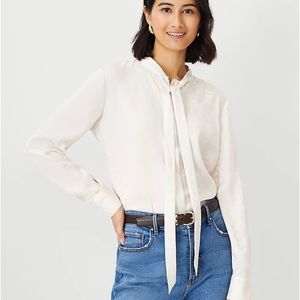 NWT Ann Taylor neck tie and button up blouse